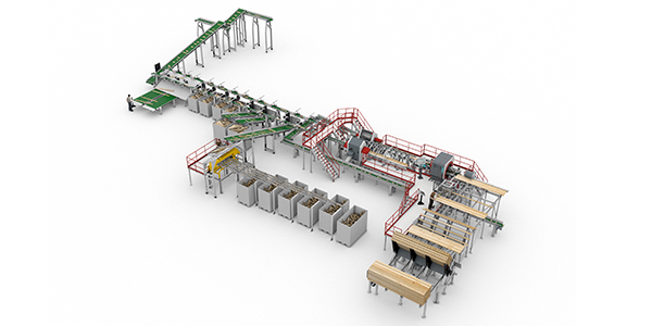 optimizes on wood resources